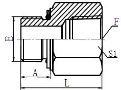 5GN hydraulic adapter BSP MALE O-RING/SEAT/NPT FEMALE